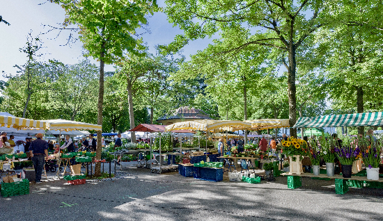 buerkliplatz markt
